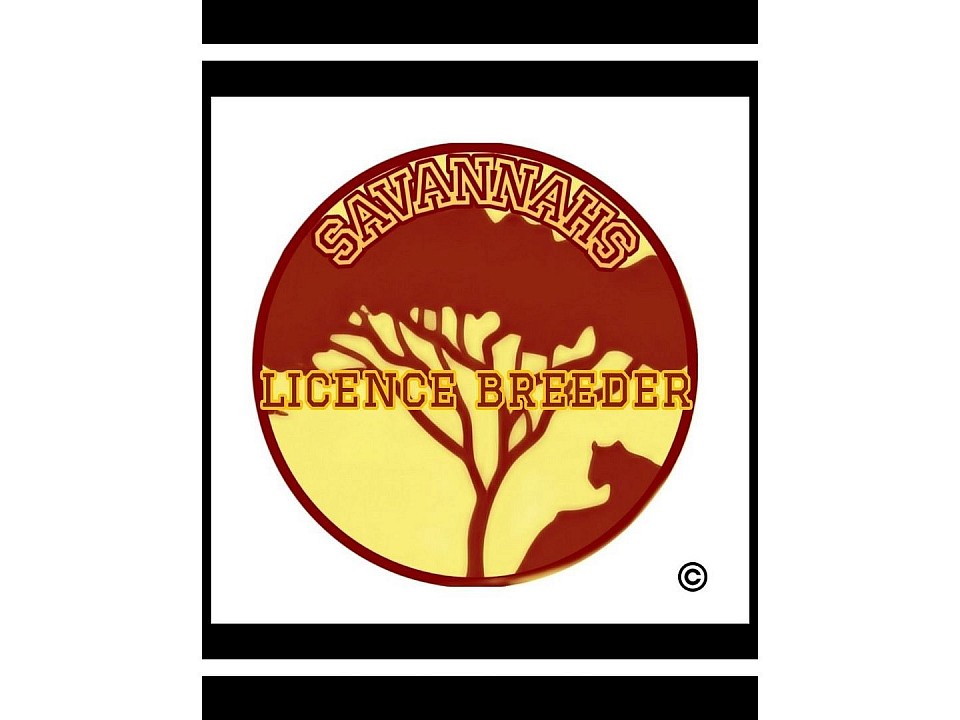 Soton Savannahs logo