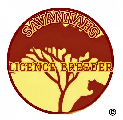Savannahs Licence Breeder