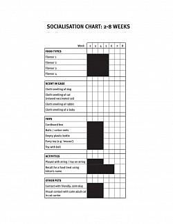 socialsation