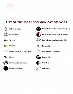 diseases