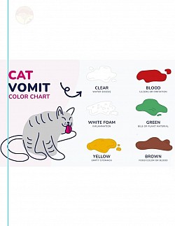 vomit