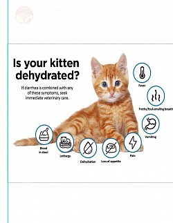 dehydrated