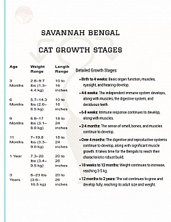 growth