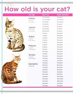 age
