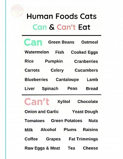 eat